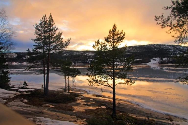 Peaceful And Scandinavian-Style Guesthouse With Scenic Nature And Seaview In High Coast Domsjo Exterior photo